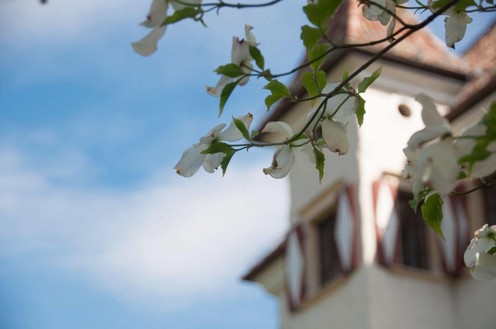 Hotel Castel Rundegg (Adults Only) Merano Exterior photo
